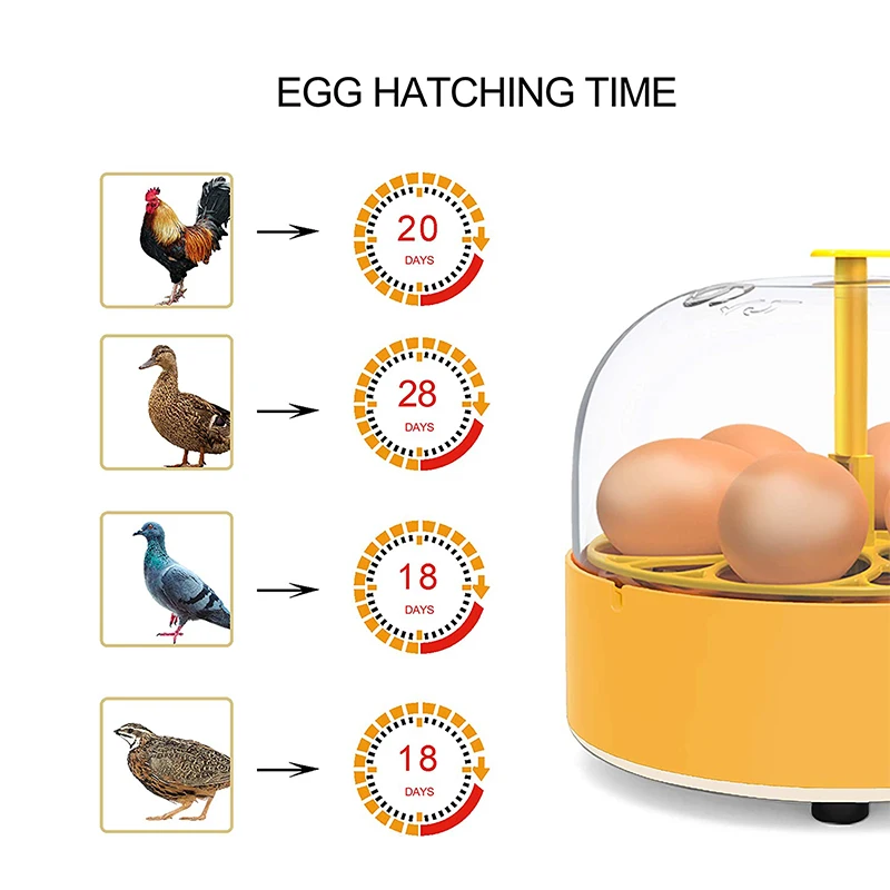 Breeding Incubator Chicken Duc - đánh giá và giá Poultry Incubator