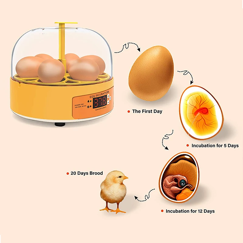 Breeding Incubator Chicken Duc - đánh giá và giá Poultry Incubator