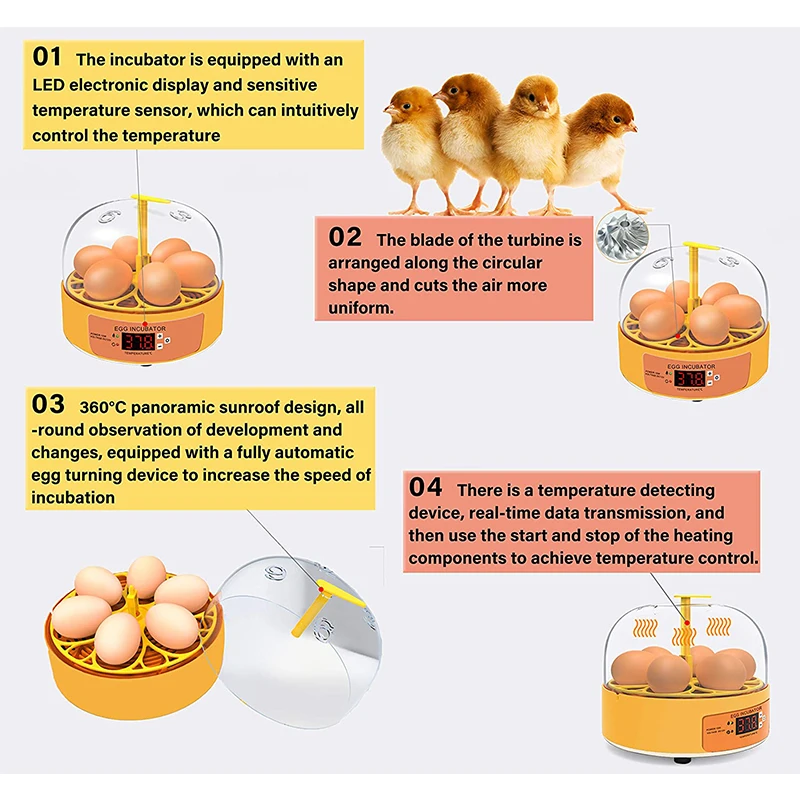 Breeding Incubator Chicken Duc - đánh giá và giá Poultry Incubator