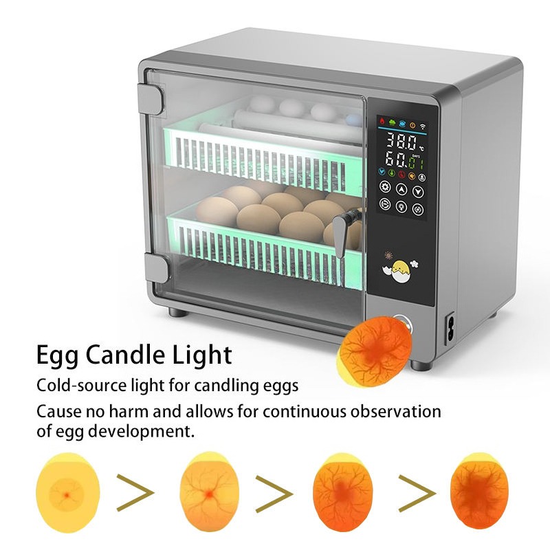 Factory Direct 2026 Fully Auto - đánh giá và giá Poultry Incubator