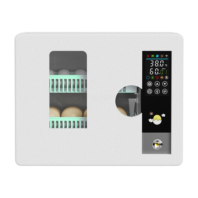Factory Direct 2026 Fully Auto - đánh giá và giá Poultry Incubator