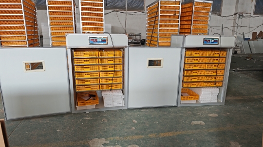 Large 1000 Eggs Incubator Mach - đánh giá và giá Poultry Incubator