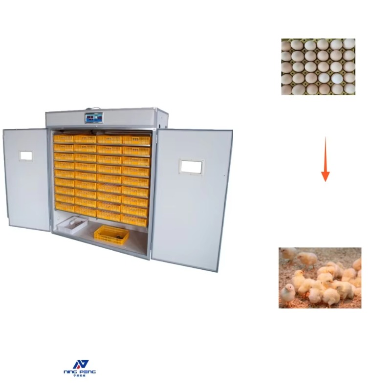 Poultry Egg Incubator Machine  - đánh giá và giá Poultry Incubator