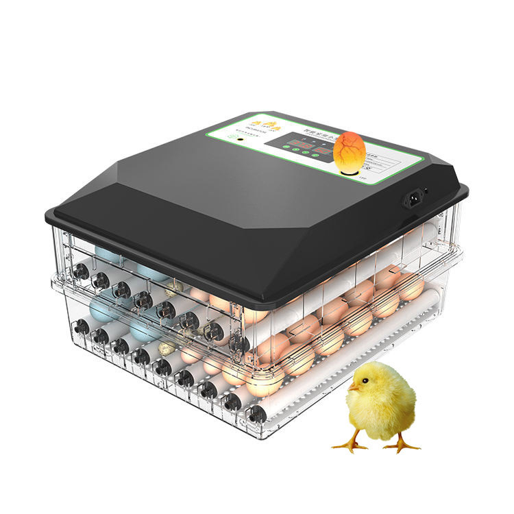 Widely Used Automatic Poultry  - đánh giá và giá Poultry Incubator