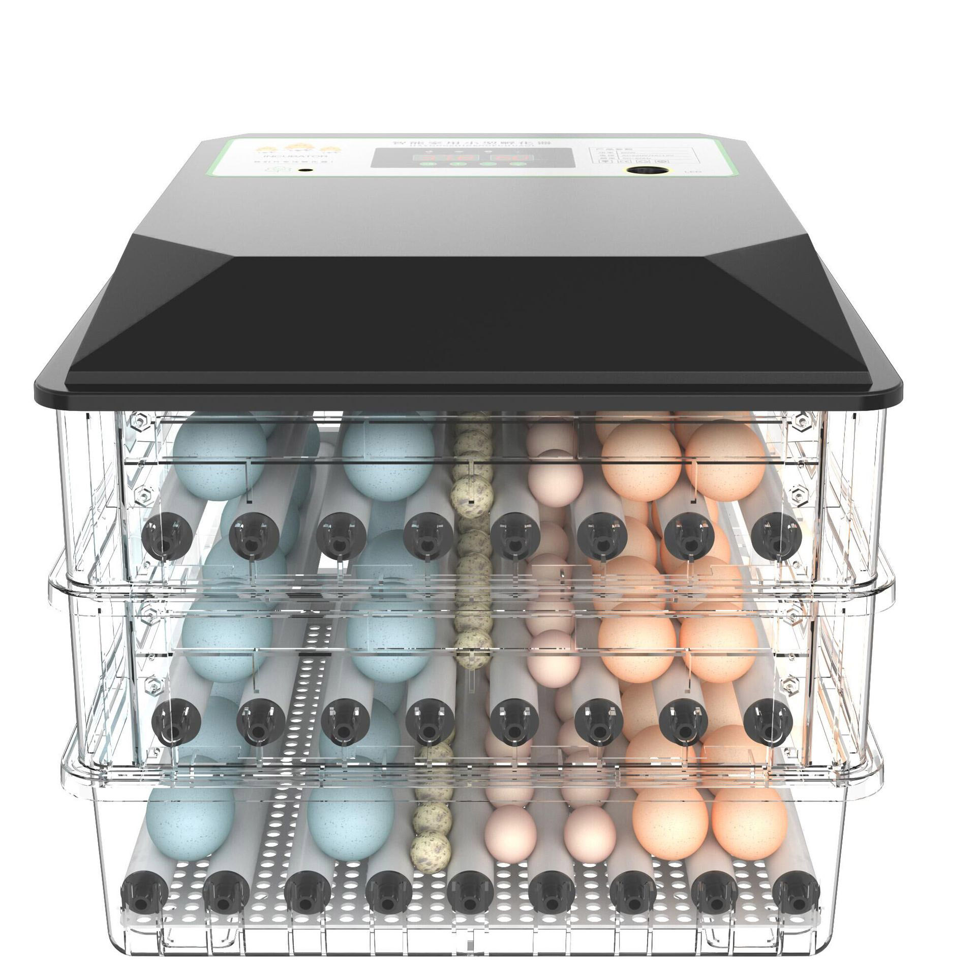 Widely Used Automatic Poultry  - đánh giá và giá Poultry Incubator
