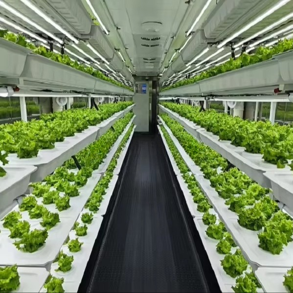 Smart Automatic Aeroponic/Aqua - đánh giá và giá Farming System & Sustainable Agriculture