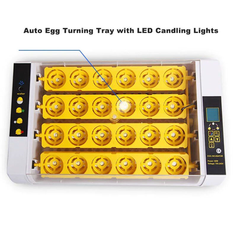 Fully‑Automatic Egg Incubator  - đánh giá và giá Poultry Incubator