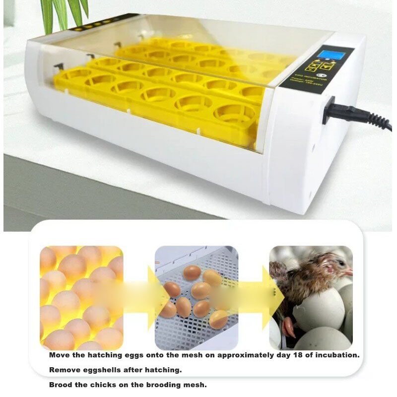 Fully‑Automatic Egg Incubator  - đánh giá và giá Poultry Incubator