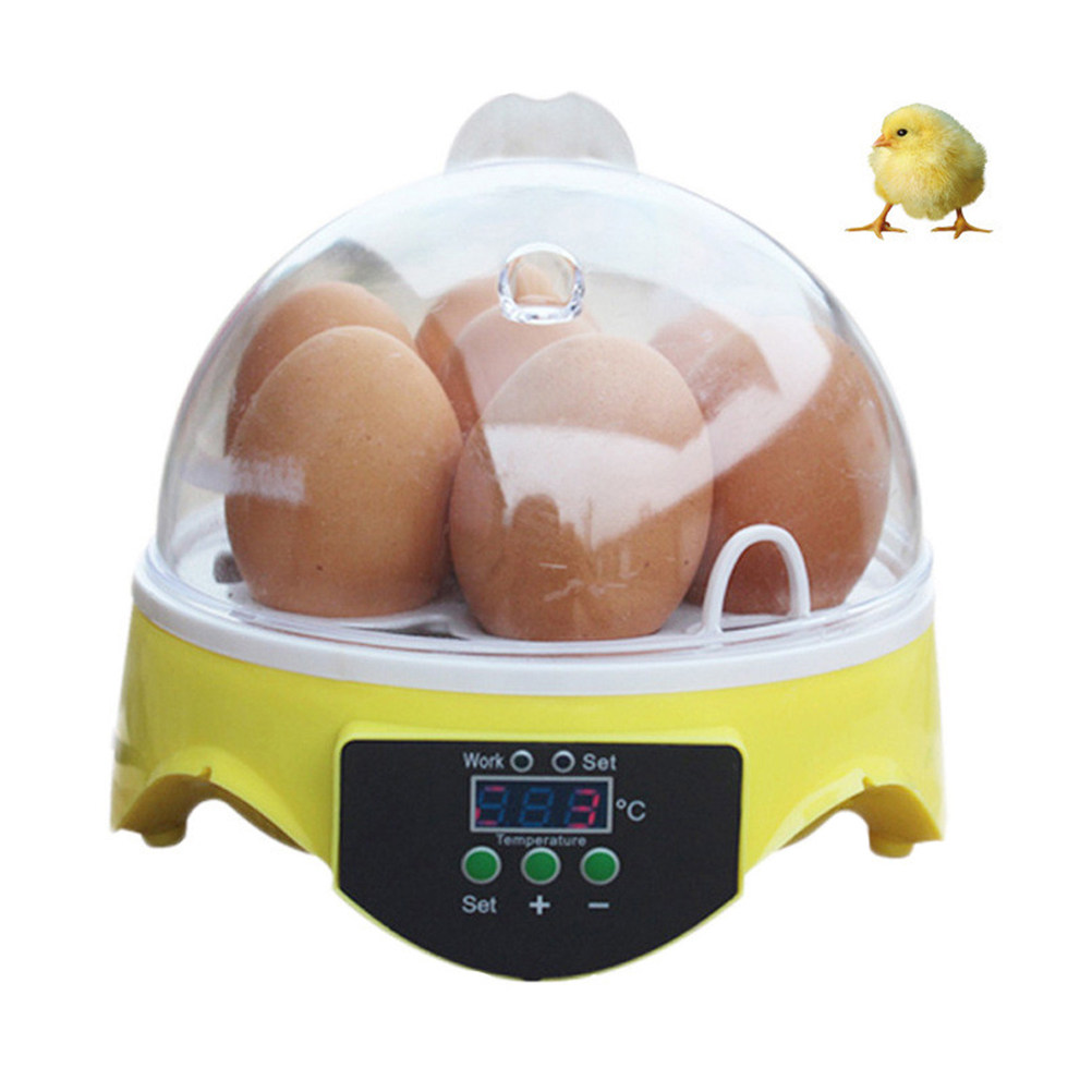 7 Eggs Poultry Incubator Semi- - đánh giá và giá Poultry Incubator