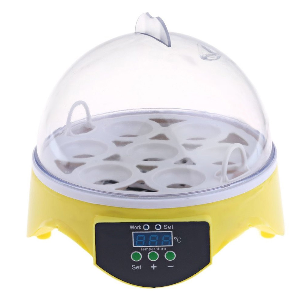 7 Eggs Poultry Incubator Semi- - đánh giá và giá Poultry Incubator