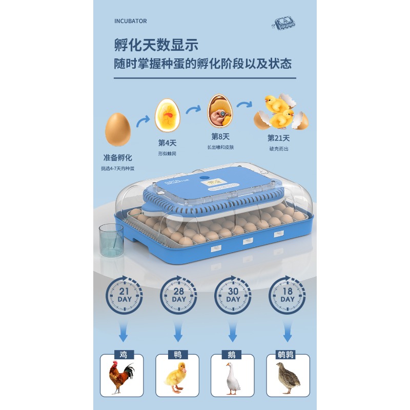 Automatic Egg Incubator Dual P - đánh giá và giá Poultry Incubator