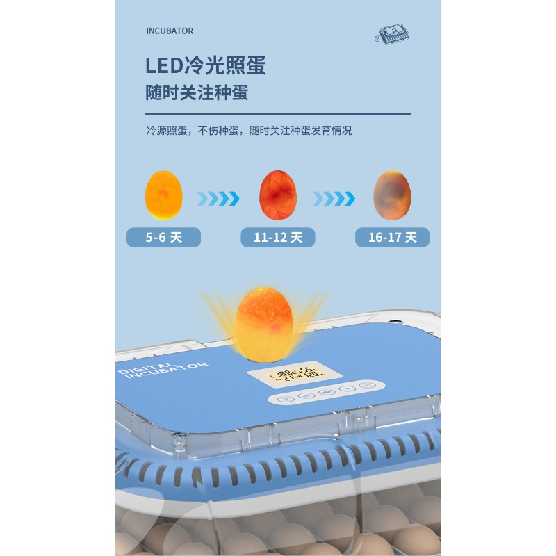 Automatic Egg Incubator Dual P - đánh giá và giá Poultry Incubator