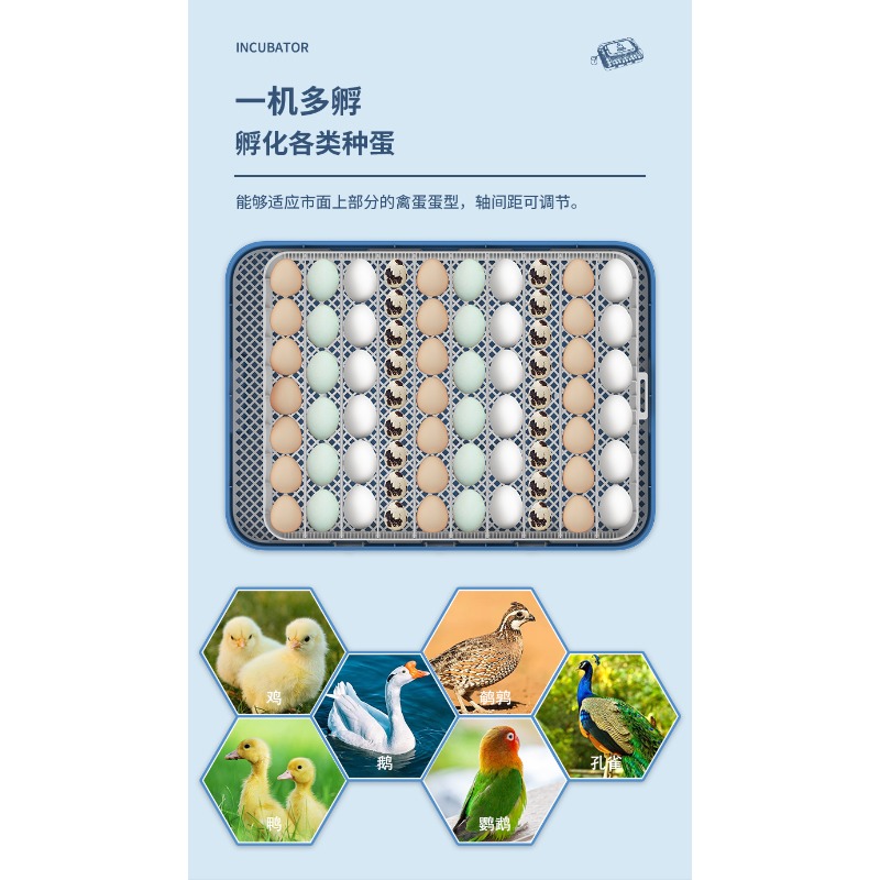 Automatic Egg Incubator Dual P - đánh giá và giá Poultry Incubator