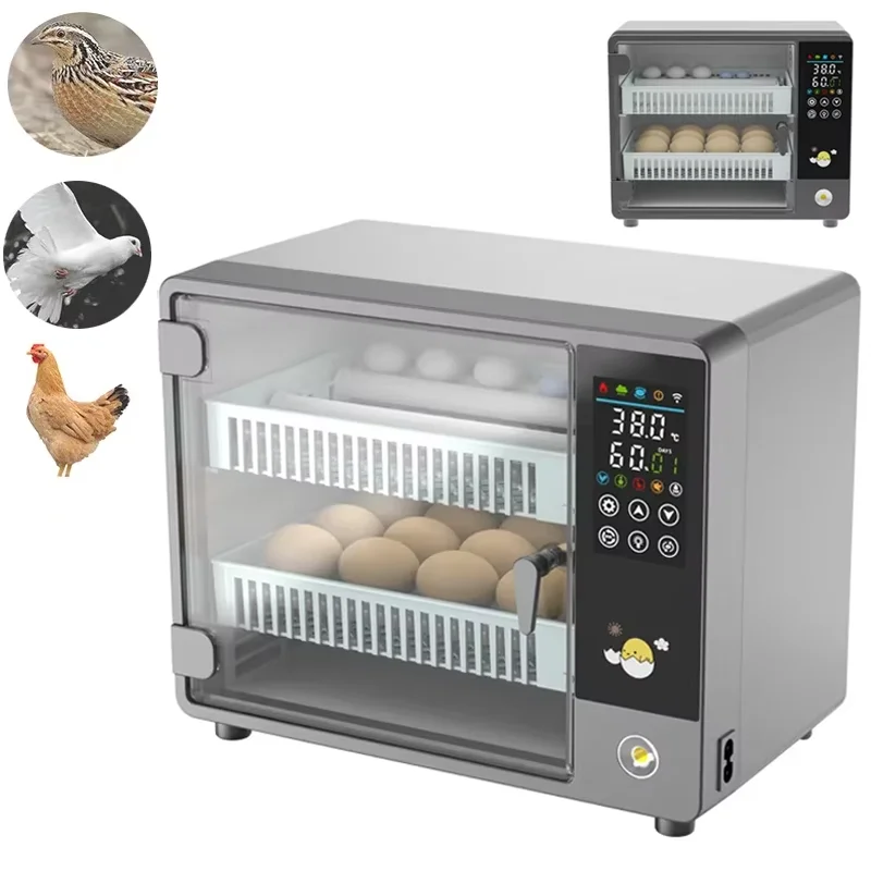 Smart Automatic Egg Incubator  - đánh giá và giá Poultry Incubator