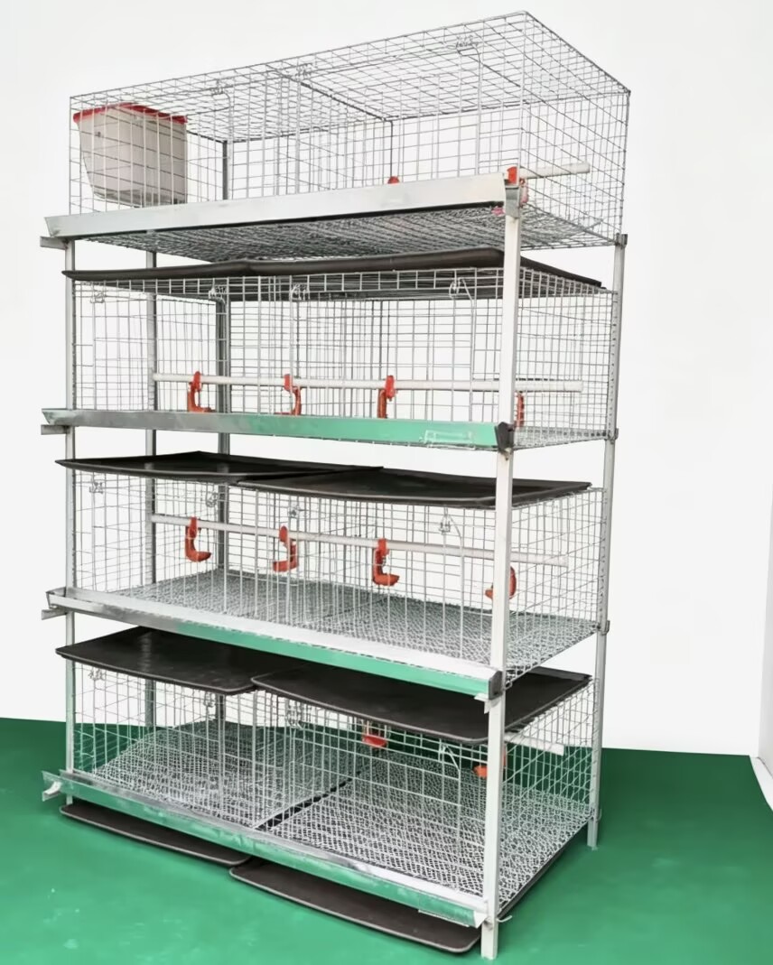 New H Type Broiler Chicken Cag - đánh giá và giá Farming System & Sustainable Agriculture