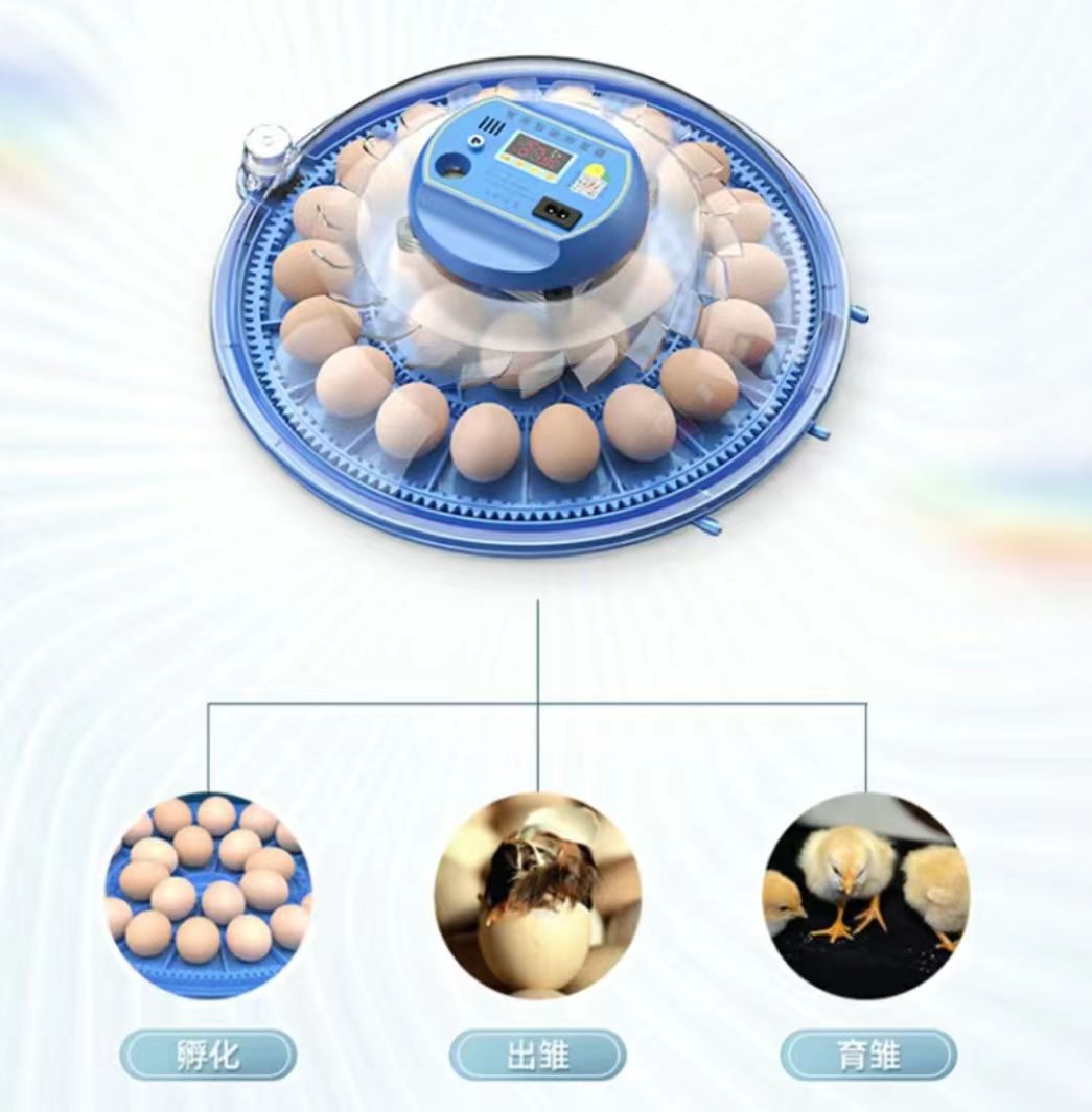 20/24/36/56/96/112 Eggs Chicke - đánh giá và giá Poultry Incubator