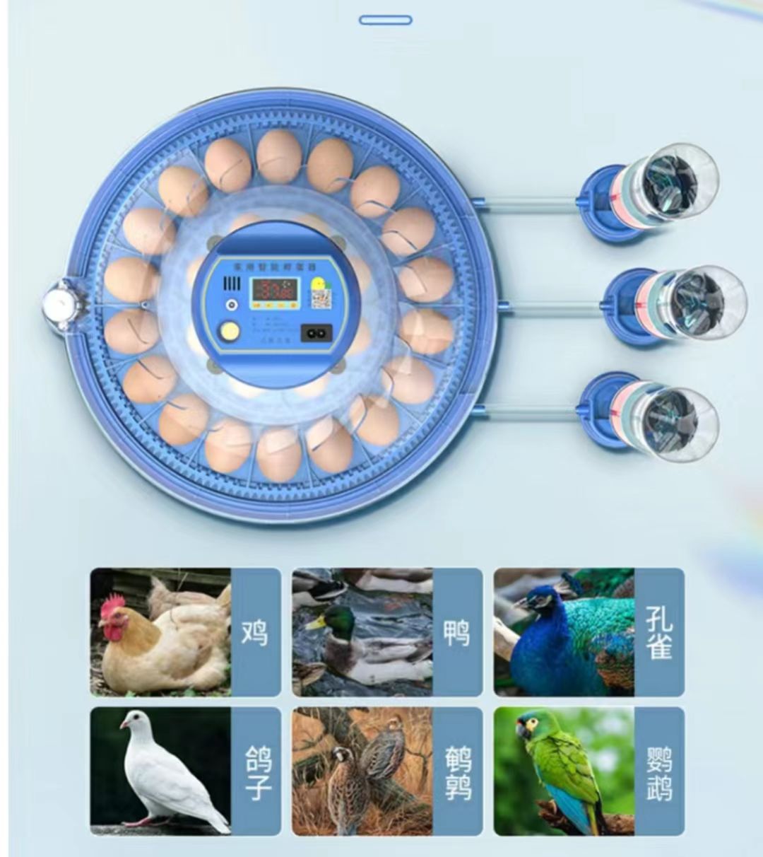 20/24/36/56/96/112 Eggs Chicke - đánh giá và giá Poultry Incubator