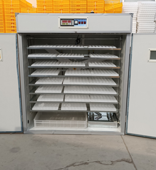 20/24/36/56/96/112 Eggs Chicke - đánh giá và giá Poultry Incubator